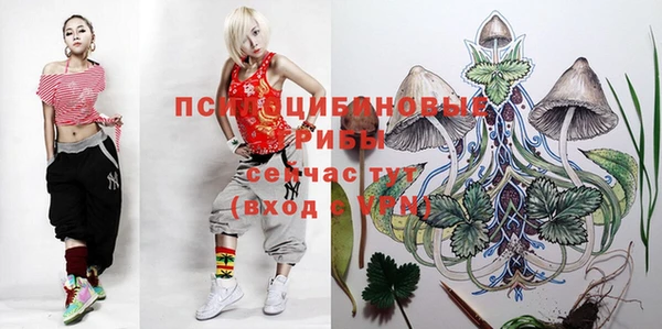 сатива Артём