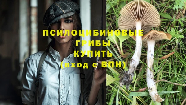 дурь Нефтекумск