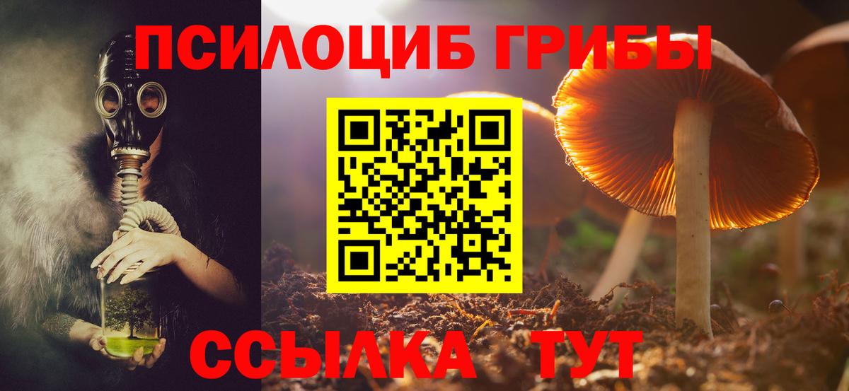 Рубцовск  Галлюциногенные грибы мицелий  Вход с VPN  Галлюциногенные грибы мухоморы 